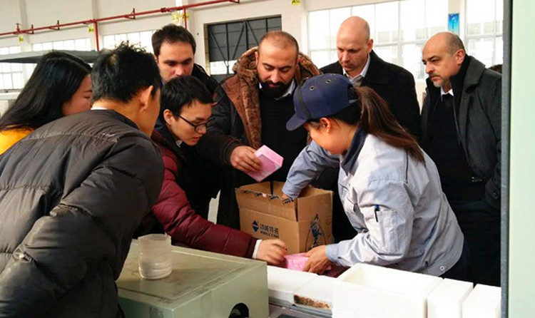 欧博abg(中国区)官方网站